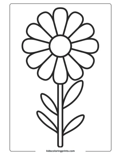 A Basic Daisy With Large Petals And Simple Leaves, Ideal For Young Children To Color Easily.