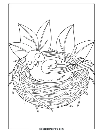 A Small Bird Resting In A Woven Nest With Surrounding Leaves In A Black And White Bird Coloring Page.
