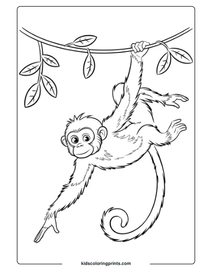 This Coloring Page Features A Playful Spider Monkey Hanging On A Vine, Surrounded By Jungle Leaves.