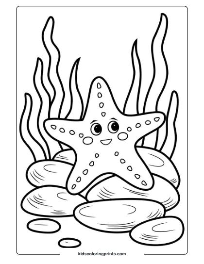 A Smiling Starfish Sits Peacefully On Ocean Rocks, Surrounded By Seaweed In A Simple And Inviting Coloring Page Scene.