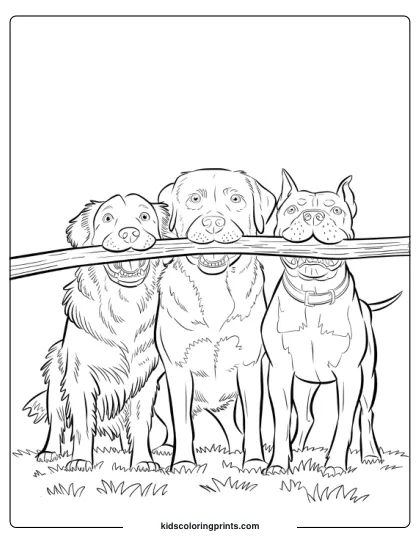 Three Dogs Holding A Big Stick Together In A Playful Outdoor Scene In A Dog Coloring Page.